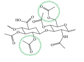 Sodium-Acetylated-Hyaluronate.jpg