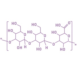 Biosaccharide-Gum-1.jpeg