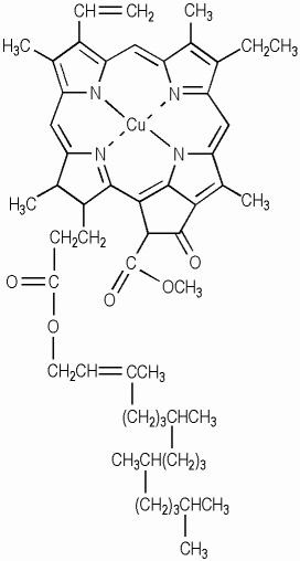 Copper-Chlorophyll.jpeg