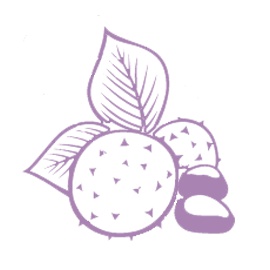 Aesculus Hippocastanum Seed Extract