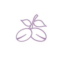 Argania Spinosa Kernel Oil