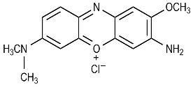 Basic Blue 124