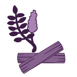 Glycyrrhiza Glabra Root Extract