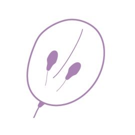 Vitis Vinifera Seed Extract