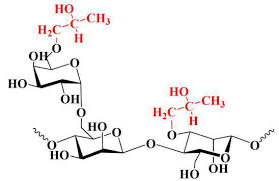 Hydroxypropyl Guar