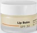 Be Minimalist Lip Balm SPF 30