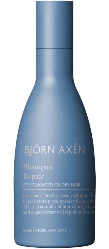 Björn Axén Repair Schampo
