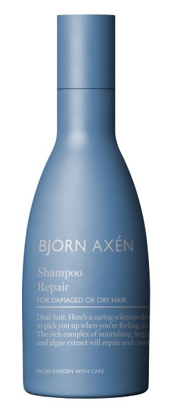 Björn Axén Repair Shampoo