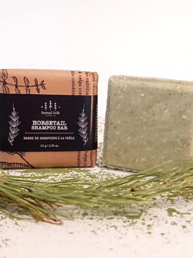 Boreal Folk Horsetail Shampoo Bar