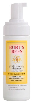 Burt's Bees Skin Nourishment Gentle Facial Cleanser