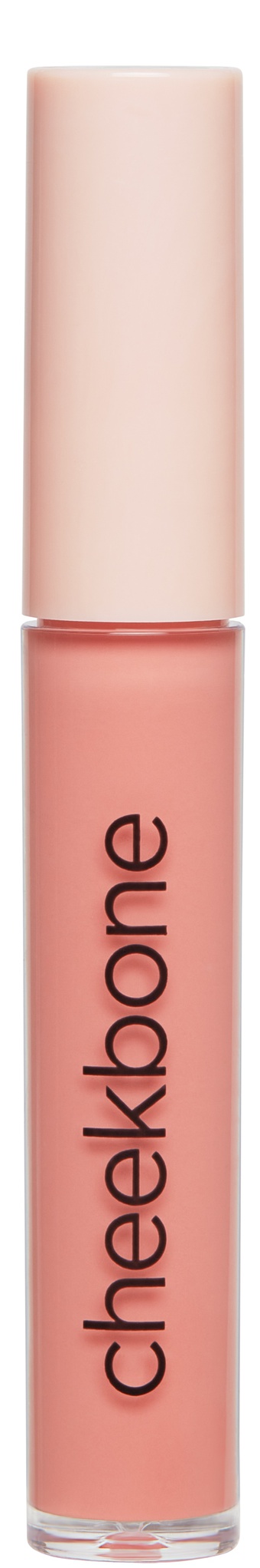 Cheekbone Beauty Sustain Lipgloss