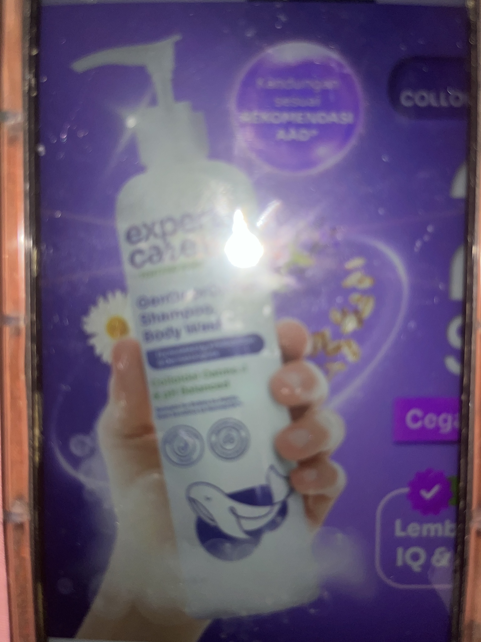 Expert Care Sampo Dan Sabun Anak