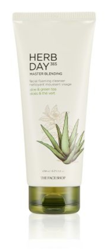 Herb Day 365 Master Blending Facial Foaming Cleanser Aloe & Green Tea