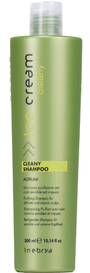 Inebrya Ice Cream Cleany Shampoo