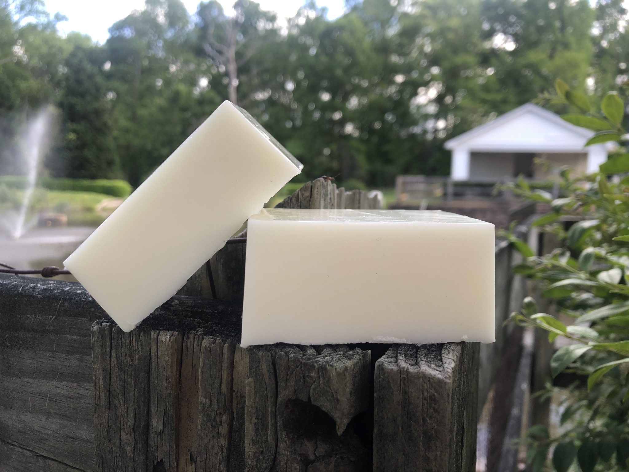 Ixora Donkey Milk & Chamomile Soap