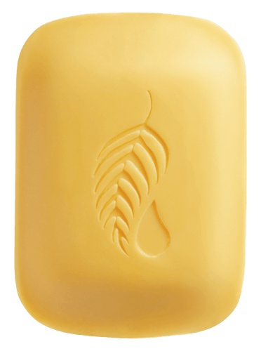 Melaleuca The Gold Bar