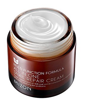 Mizon All-In-One Snail Repair Cream (Discontinued)