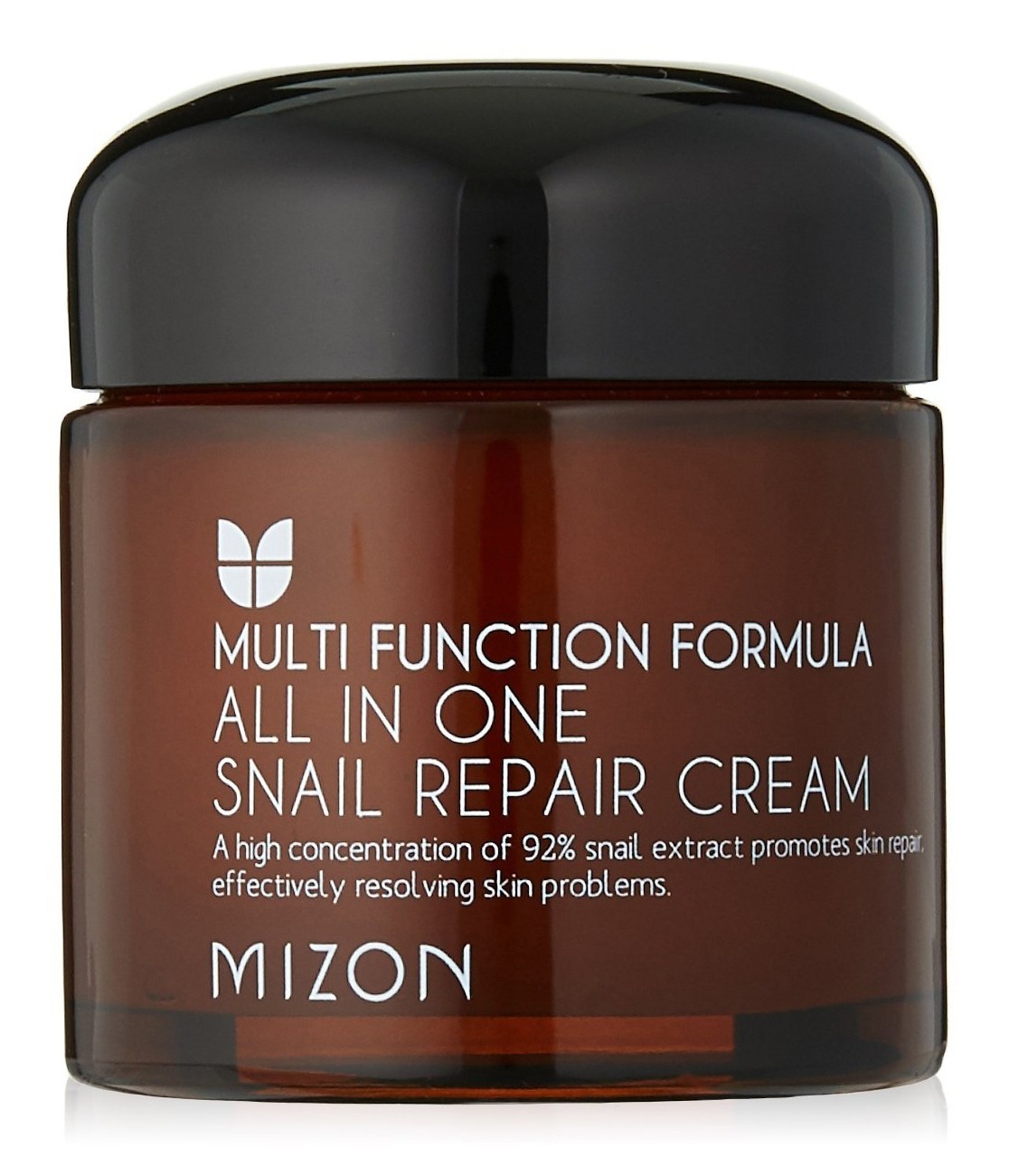 Mizon All In One Snail Repair Cream
