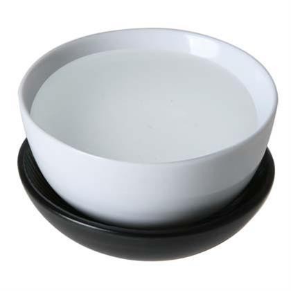 New Directions Progeline