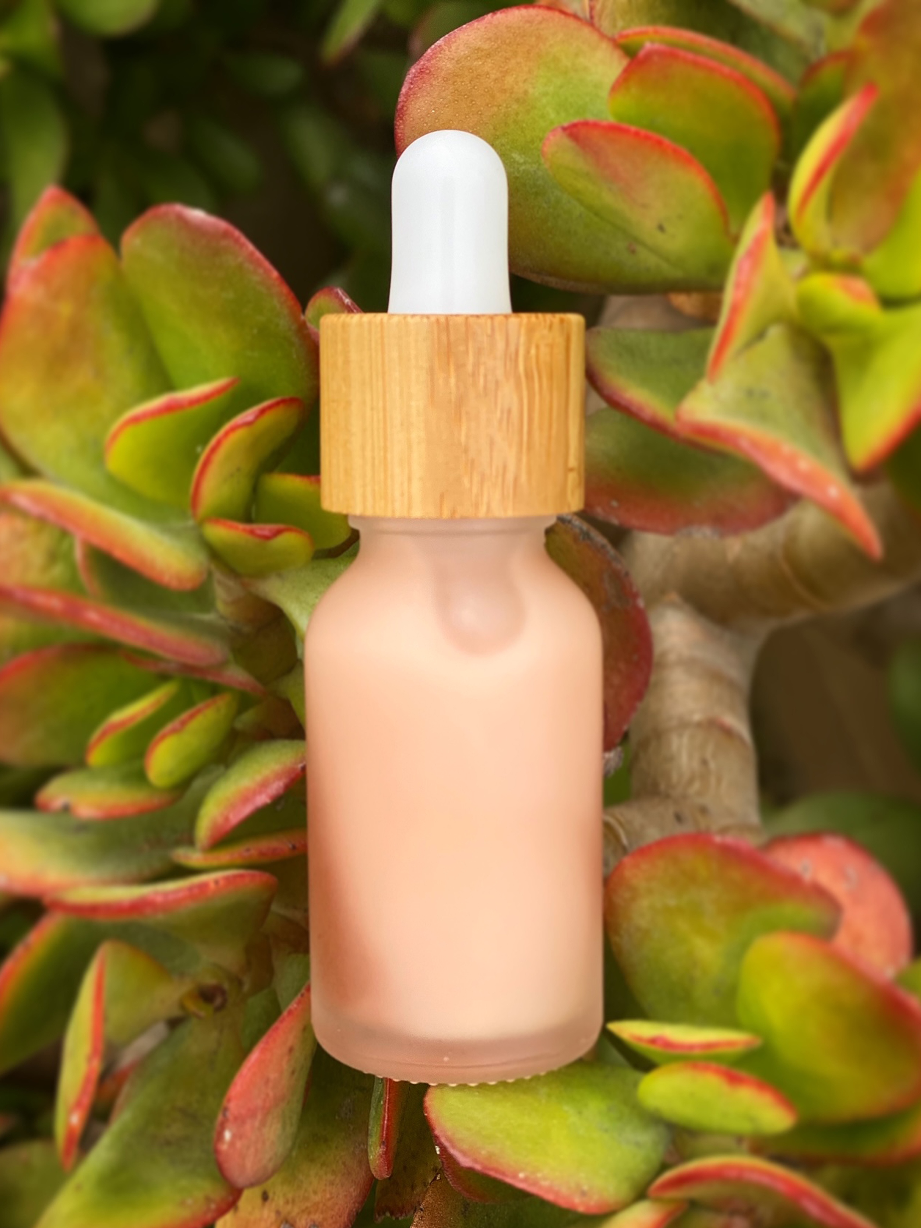 OSSOLA Skincare Everlasting Serum