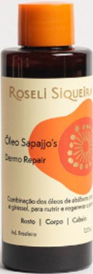 Roseli Siqueira Óleo Sapajjo´s
