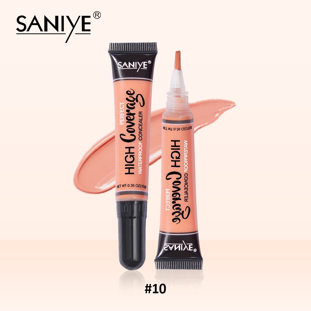 SANIYE Color Facial Concealer #10