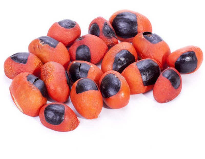 The SkinScience Company Organic Mafura Butter