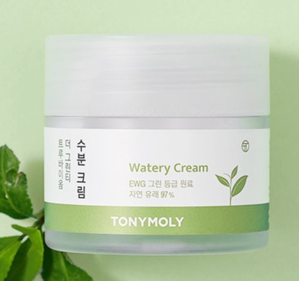 TonyMoly The Green Tea Truebiome Watery Cream