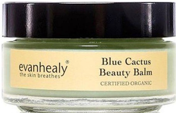 evanhealy Blue Cactus Beauty Balm