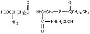 S-Пальмитоилглутатион