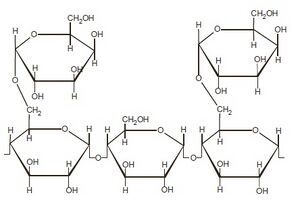 Cyamopsis-Tetragonoloba-Gum.jpeg