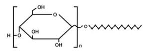 Arachidyl-Glucoside.jpeg