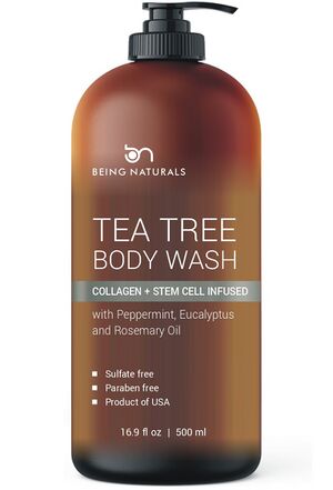 Being-Naturals-Tea-Tree-Body-Wash.jpeg