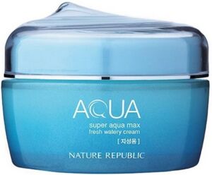 Nature-Republic-Super-Aqua-Max-Fresh-Watery-Cream-(Discontinued).jpeg