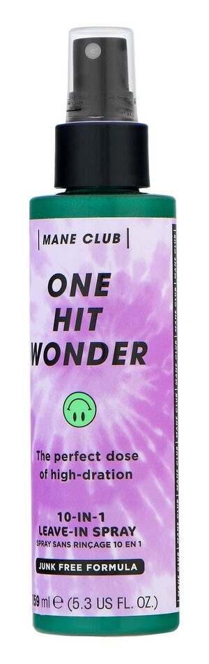 Mane-Club-One-Hit-Wonder.jpeg