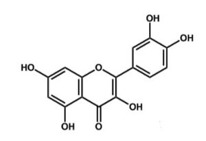 Quercetin.jpeg