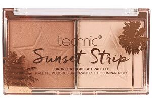 Technic-Bronze-&-Highlight-Palette.jpeg