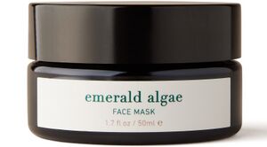 ISUN-Emerald-Algae---Face-Mask.jpeg